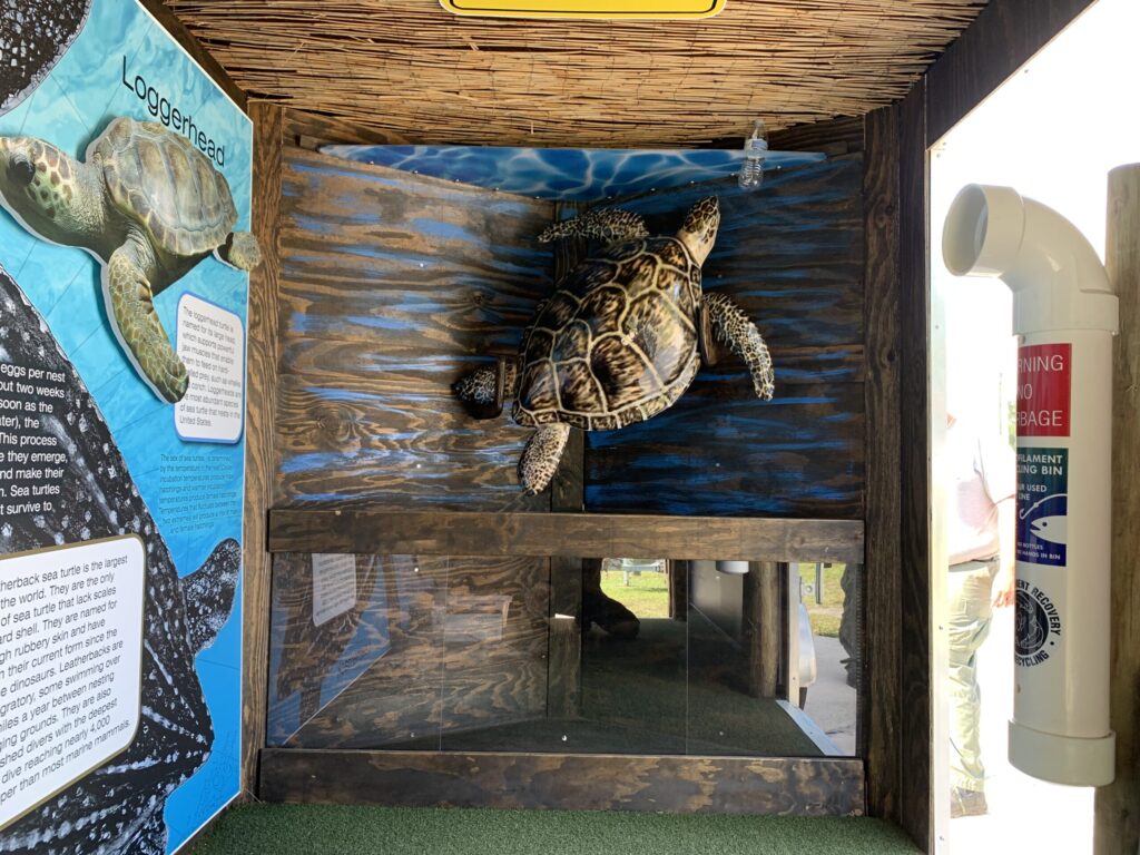 Img 0128 Scaled