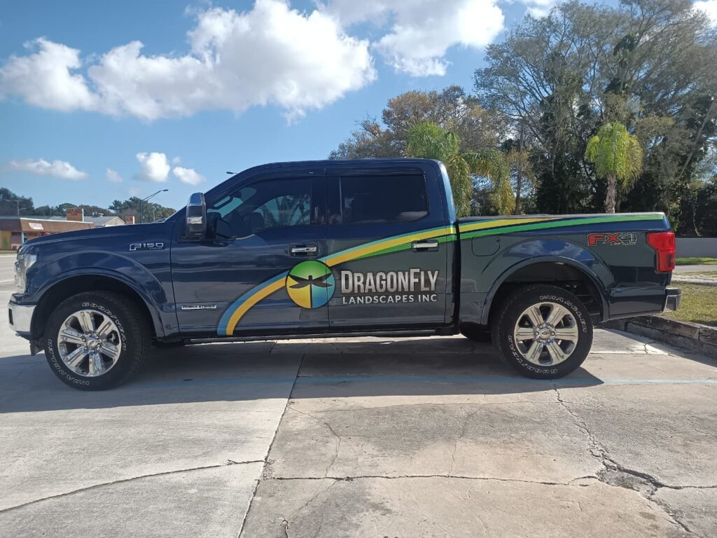 Partial Wrap Dragon Fly
